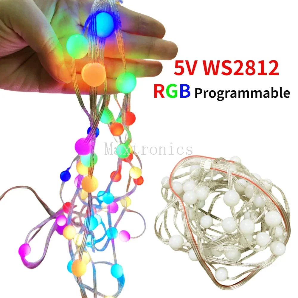 DC5V WS2812 RGB LED Ball Light String Programmable with Controller