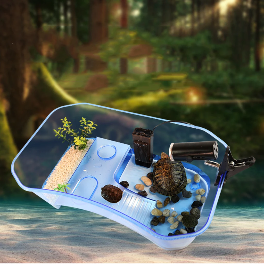 Title 1, Translucent Plastic Reptile, , Turtle, Turtle, ...