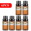 6pcs Sweet Orange