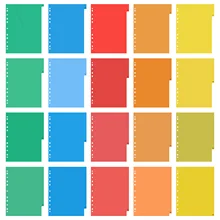 

20 Pages A4 Colorful Page Classified Lables Plastic Tab Dividers (Color Printed Number)