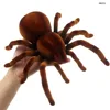 EBOYU 9986M RC Spider Remote Control Animal Large Size Realistic Tarantula Prank Gift Toys Vehicle Car Electric Kids Birthday 4