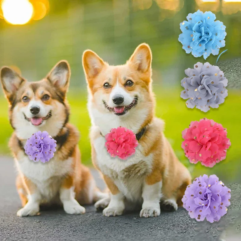 

Fashion Chiffon fabric DogCollar Cute Big Colorful Flower Dog Cat Slidable Collars Accessories Holiday Pet Popular Decoration
