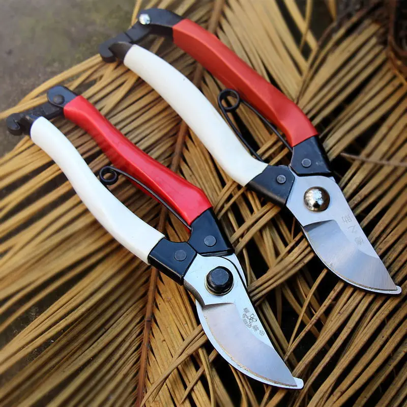 

Pruner Garden Scissors Professional Sharp Bypass Pruning Shears Tree Trimmers Secateurs Hand Clippers for Garden Beak Scissors