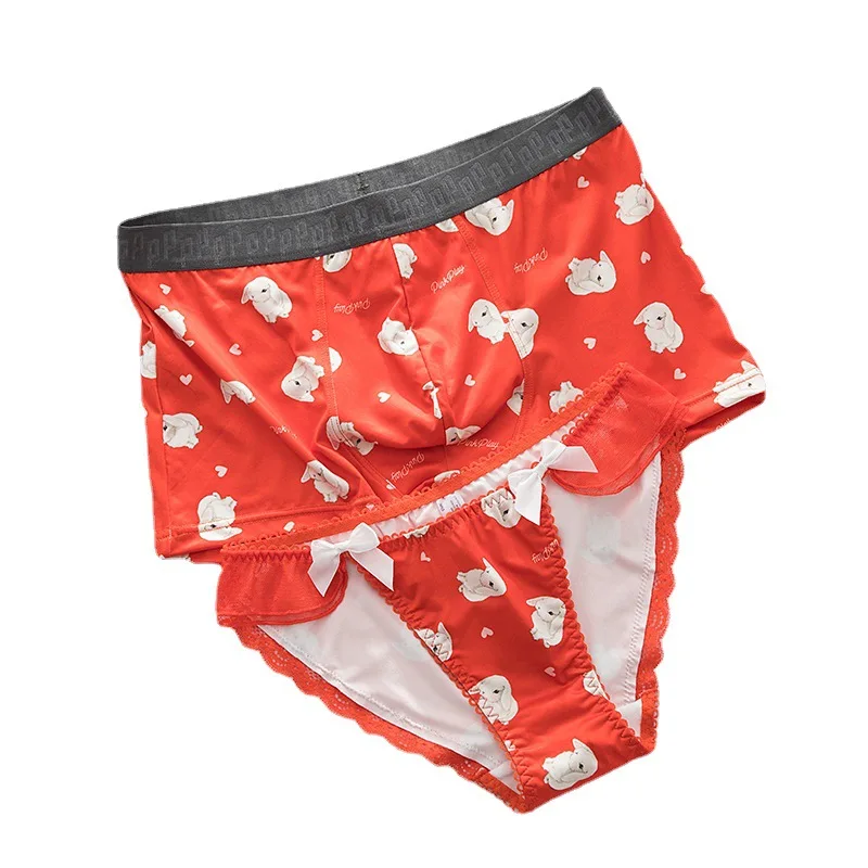 Christmas Underwear New Year's Rabbit Men's Boxer Briefs