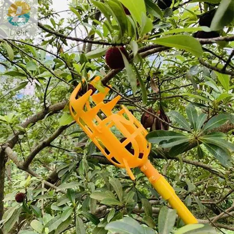 

1Pc Fruit Picker White Yellow Plastic High-Altitude Fruit Picking Device Agricultural Bayberry Jujube Picking Supplies