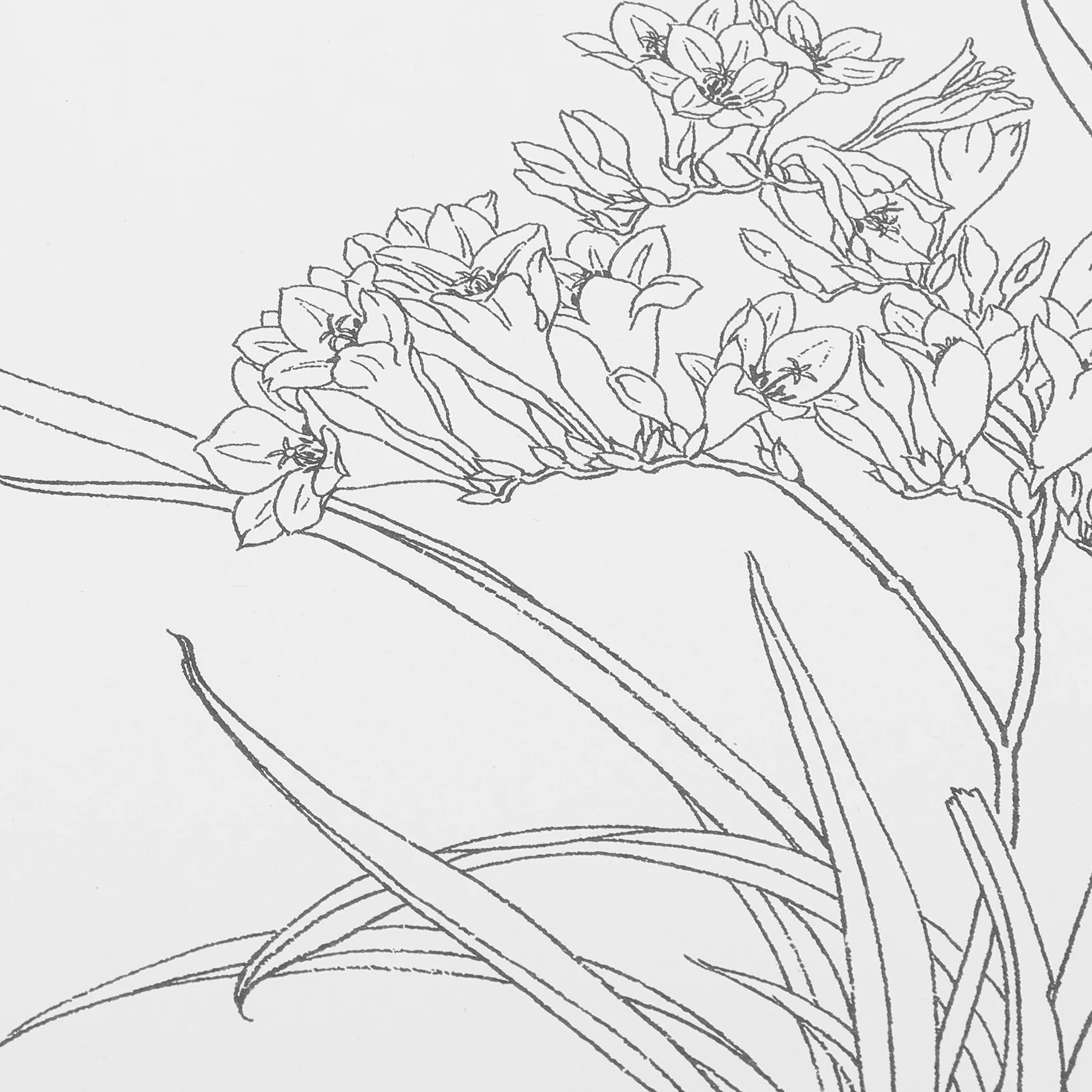 Рисунок 5 - Бумага для рисования акварельными красками