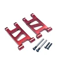 Rear lower swing arm