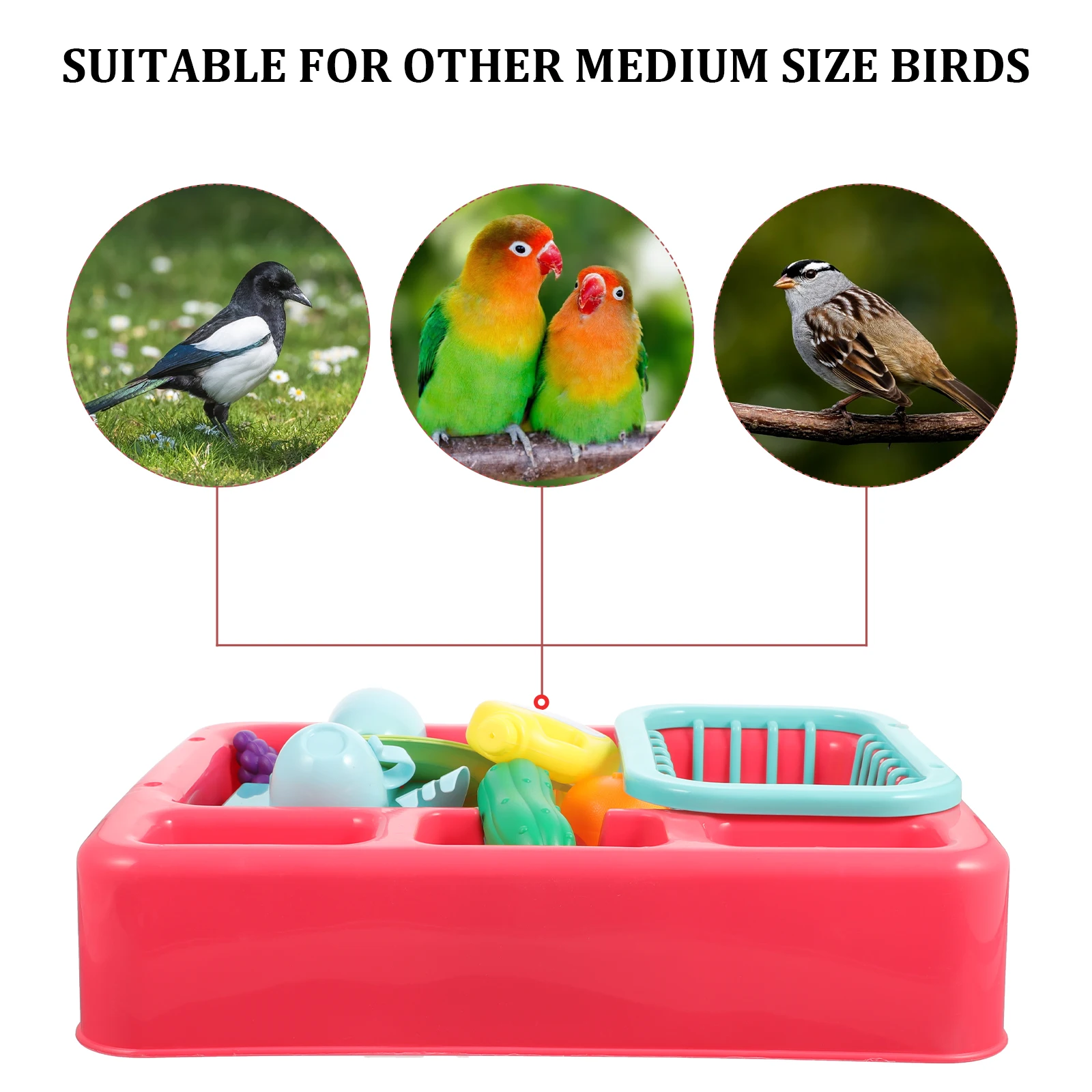 【Free-delivery】 Automatic Water Bath Box Bird Basin Child Ground Level ...