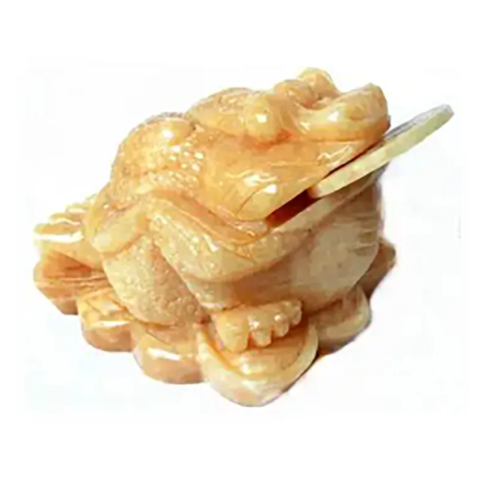 

Feng Shui Fortune Coin Jade Money Toad/ Frog /Chan Chu Charm of Prosperity Decoration W3066