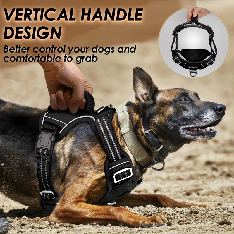 Harnais de Sécurité pour Chien Chiot Réglable Robuste avec Laisse Plomb  Ensemble Réfléchissant Sans Traction Rembourré Chien Laisse Collier Harnais  de Poitrine Gilet avec Poignée pour les Petits Chiens de Taille Moyenne