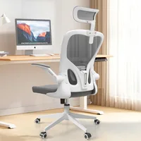 Office Chairs, Ergonomic Office Chair, Computer Chair with Adjustable Headrest, Lumbar Support, 2D Armrest 1
