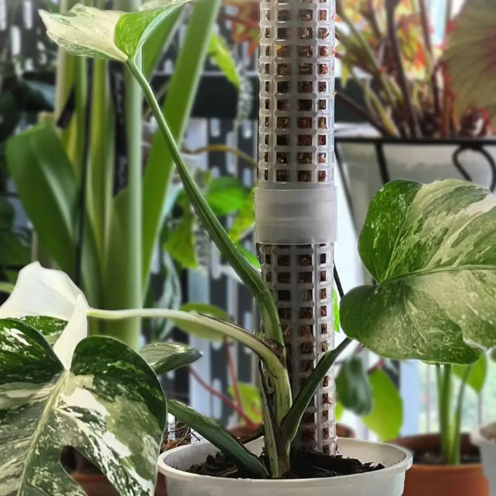 

Indoor Moss Pole Durable Stackable Plant Support for Climbing Plants Easy Installation Moss Pole Stake Stable High for Growth