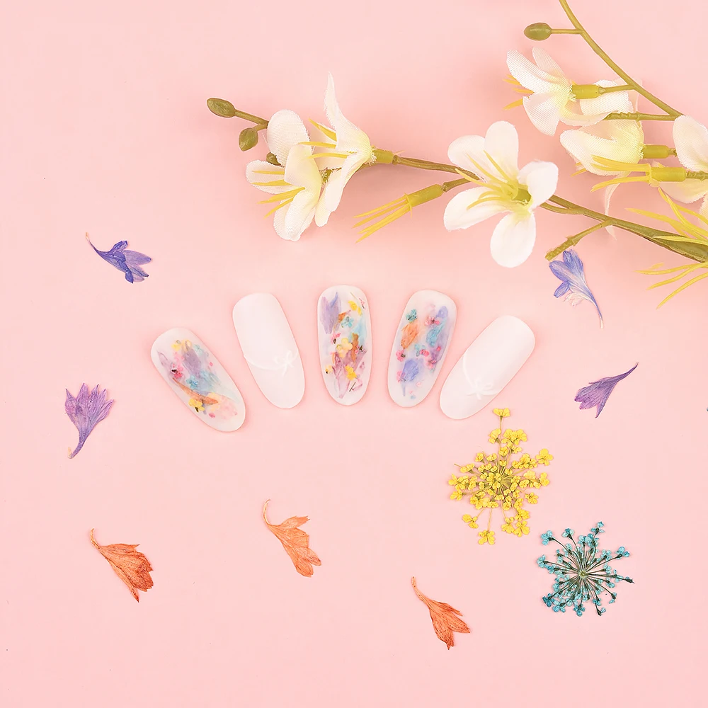 3D Dried Flower Nail Art Decoration Real Dried Blossom Stickers Natural Floral Charms Designs