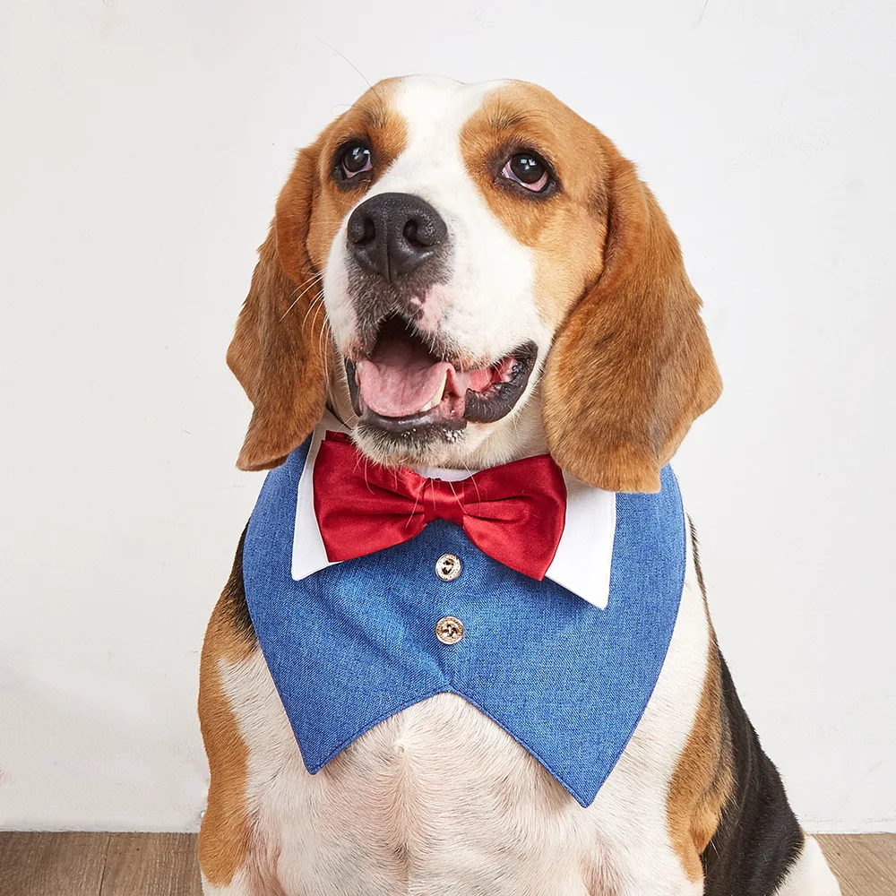 Pets Harness Vest Set - PeticaDeals