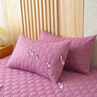 2 Pieces Waterproof Pillowcase Machine Washable Pillow Cover Bedroom Decor Suitable For With Children Just Pillowcase ,No pillow 2