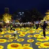 Waterproof Outdoor Custom Goldfish Cloud Pattern Dynamic Fish Light Dynamic Creative Projection Light 5