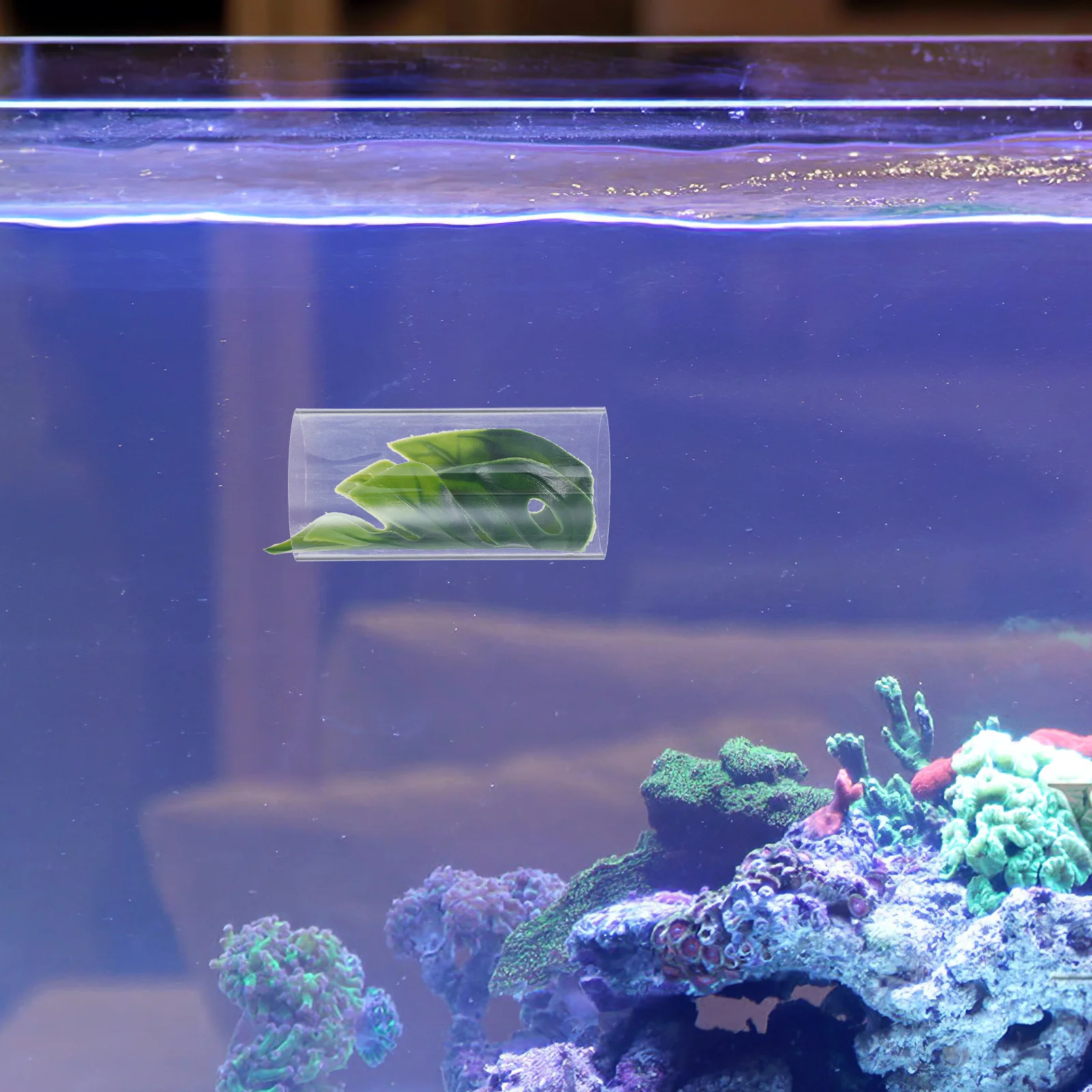 Betta Fish Tunnel Shrimp Hideout Transparent Tube Aquarium Decorations Pet Products Betta Leaf Cave Resting Hammock Toy