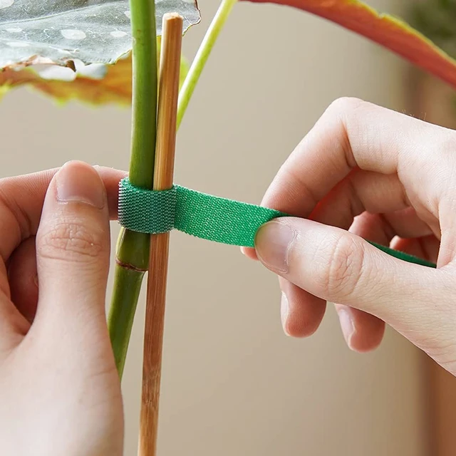 2/10 M -Es Növényi Kötés Nyakkendő 10 Mm Szélességű Mászó Támogatás Állítható Kerti Újrafelhasználható Rögzítőszalag Kiegészítőkhöz - Image 3