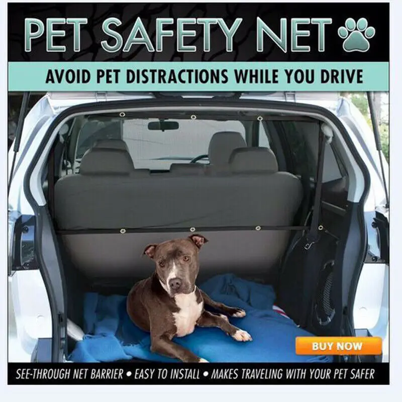 Can You Drive With A Dog In The Front Seat