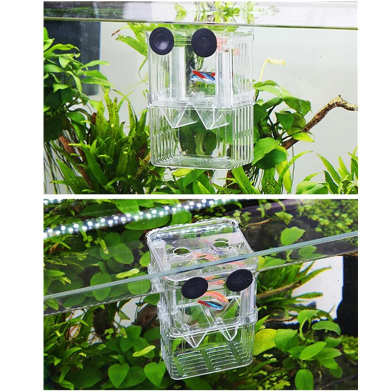 Acrylic Fish Tank Breeding Isolation Box Aquarium Hatchery Incubator Holder Accessories