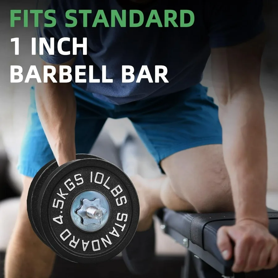 Cast Iron 1-Inch Standard Weight Plate for Strength Training & Weightlifting Home Gym,10lbs X 4