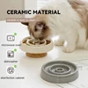 Pet Ceramic Slow Feeder Bowl Anti-Gulping Cat Food Dish Bowls Puppy Dogs Slow Feeding Supplies 4
