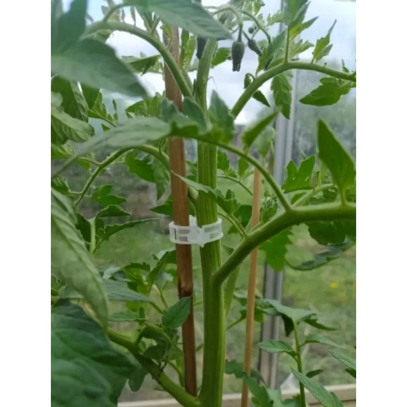 재사용 가능한 25mm 플라스틱 식물 지지 클립, 식물 걸이식 덩굴, 정원 온실 야채, 토마토 클립, 50 개, 100 개