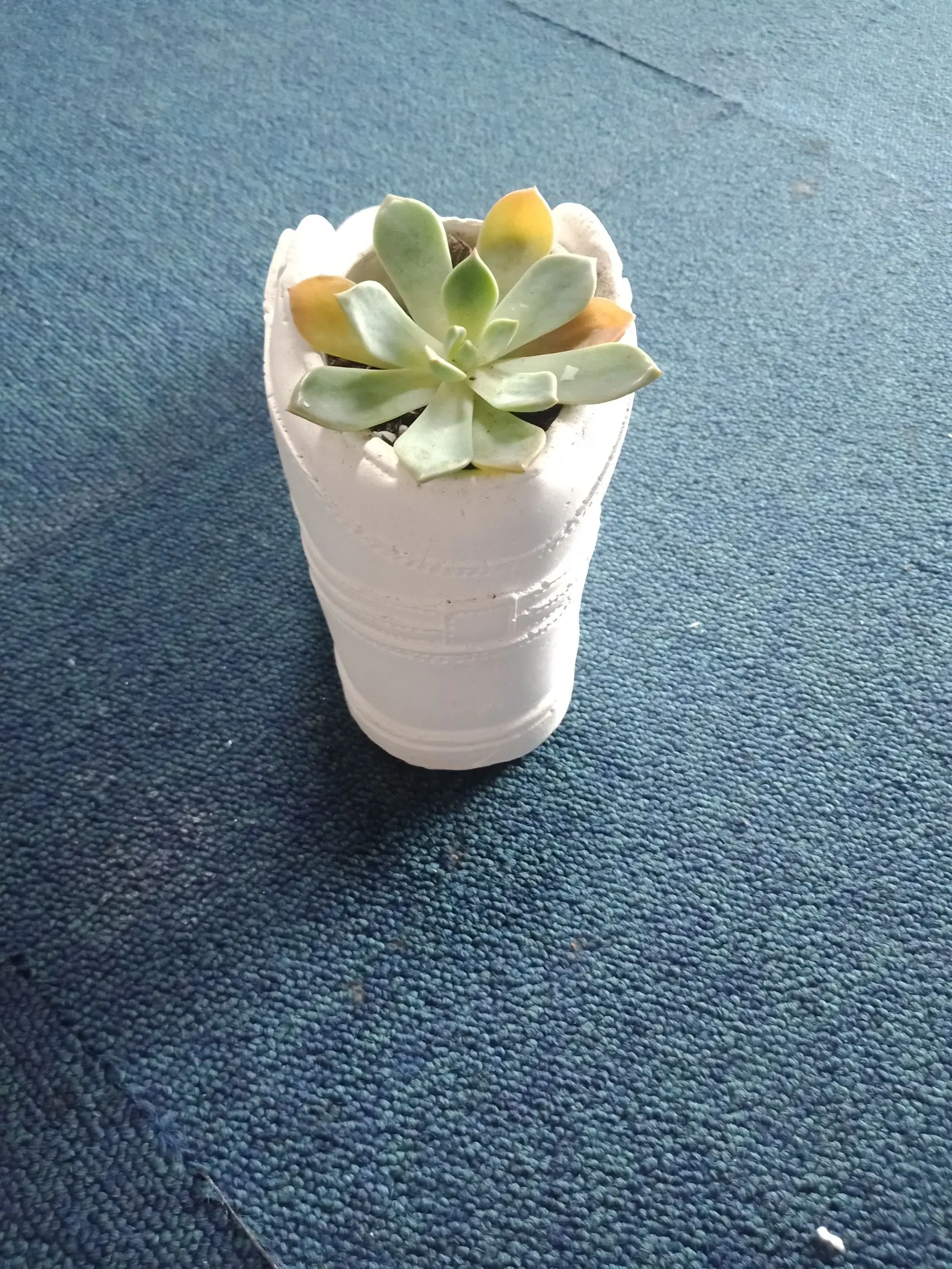 

Concrete Desktop Decoration, Big Garden Pot, Vase Making, Cement Planter, Candle Mould, AJ1 Sneaker, Silicone Pot Mold