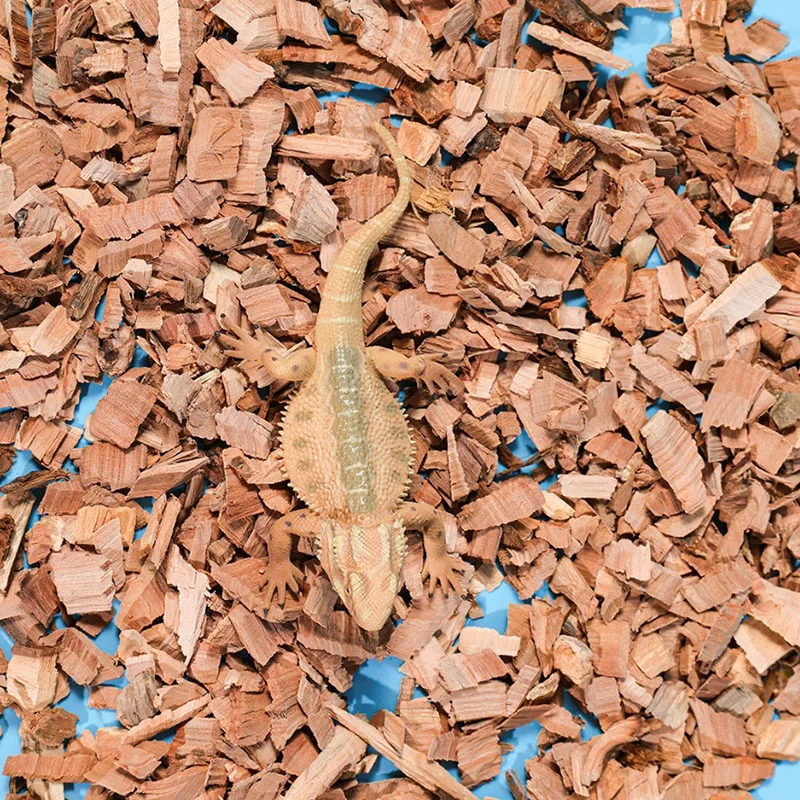 Sustrato de reptiles, virutas de madera de árbol de manzana, cáscara Natural, ropa de cama, materiales desodorizantes hidratantes para tortugas, mascotas que gatean 3