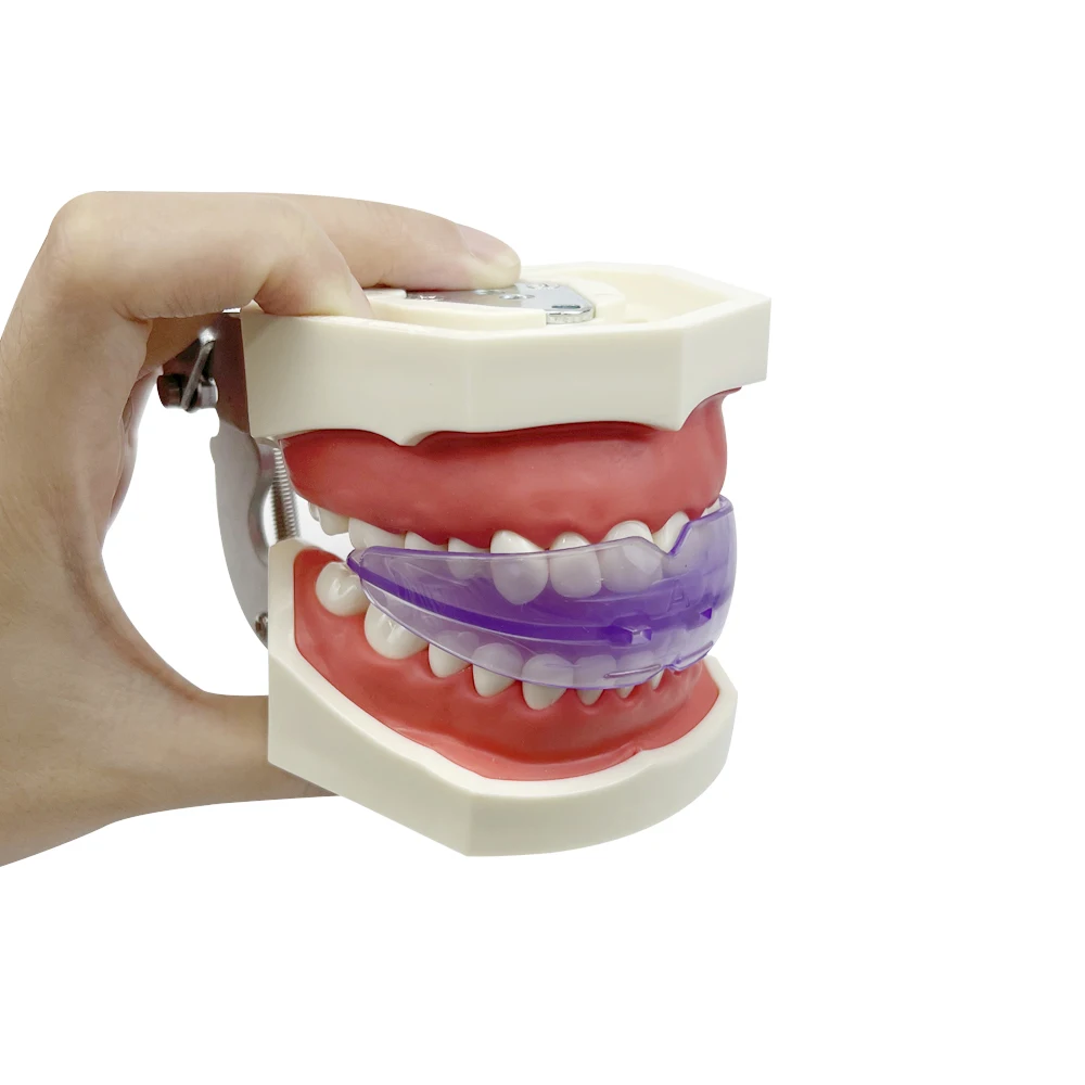 Appareil Dentaire Orthodontique T4B - Alignement Des Dents Pour Adultes - Neuf Sous Blister