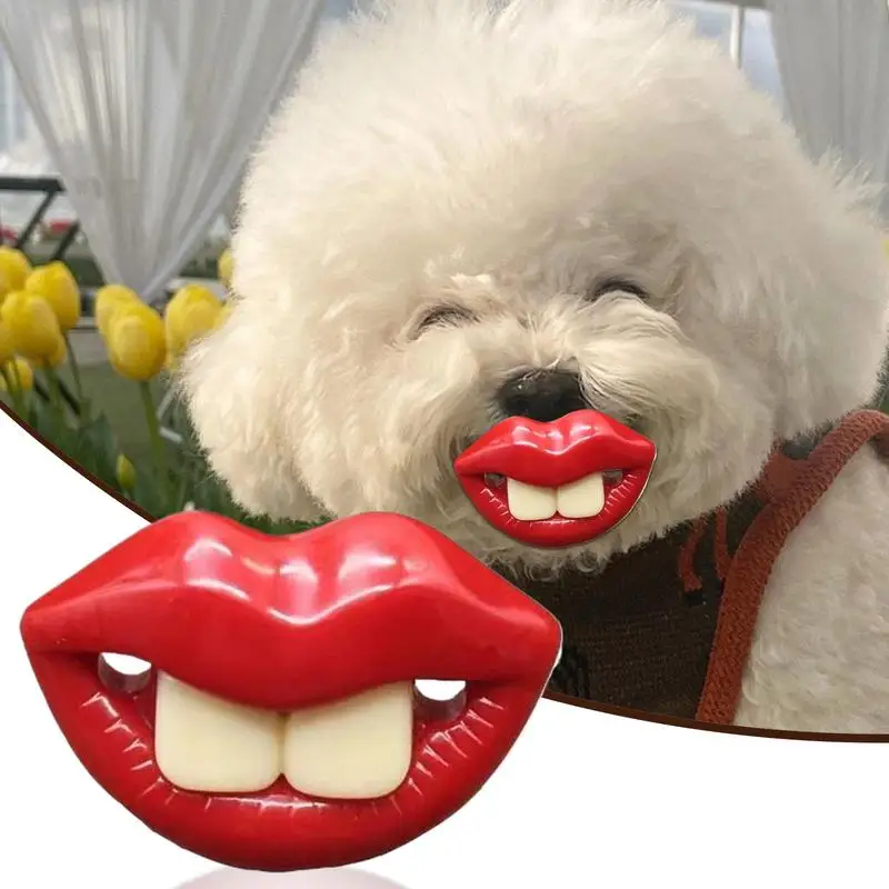 Puppy Pacifier Teething Toy for Small Dogs