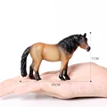 Exmoor stallion