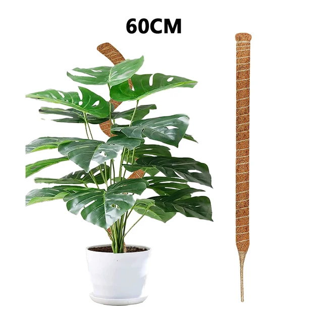 1pcs 60cm