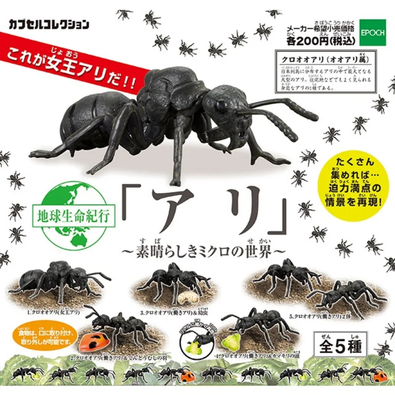 

TARLIN Gashapon Figure Anime Kawaii Chronicle Of Life On Earth Killer Whale Lobster Tuna Turtle Miniature Cute Capsule Toy