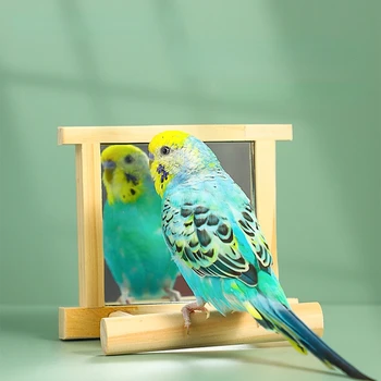 Interactive Wooden Bird Mirror 3