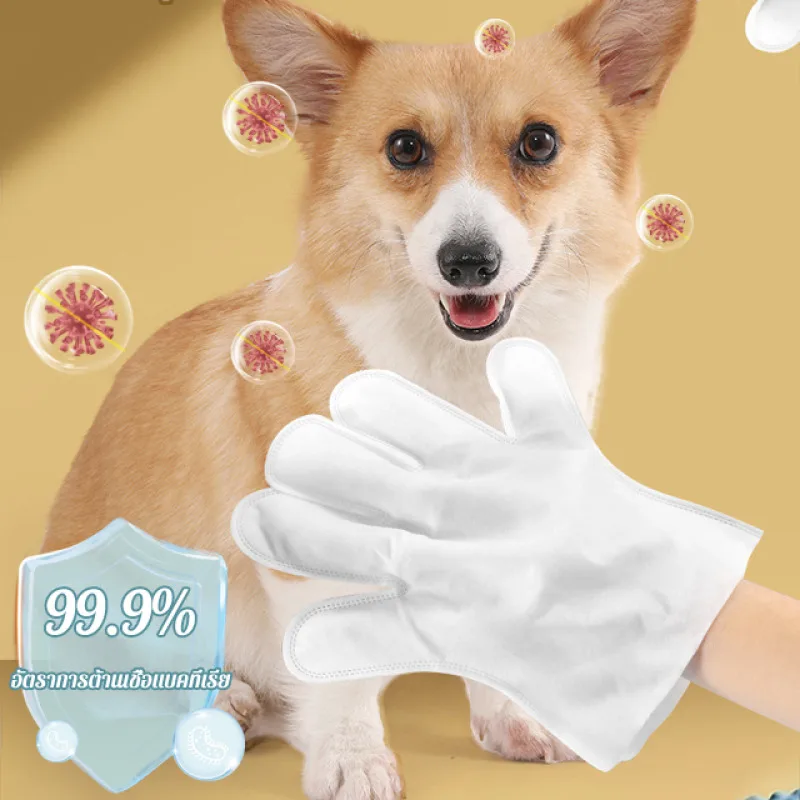 6PCS Pet Wash Free Glove Wipes Disposable Glove Towels Deodorizing Dry Cleaning Cats and Dogs Wet Towels Pet Supplies Glove