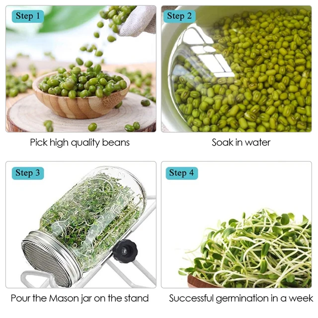 Kőműves Edény Csírázó Fedelek Óvodai Rozsdamentes Acél Vetőmag Hálószűrő Szűrő Jar Kerti Üvegház - Image 4