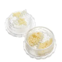 Enhanced Kitchen Multifunctional Garlic Crusher and Chopper - Home Appliance and Gadget Accessory (Transparent color)