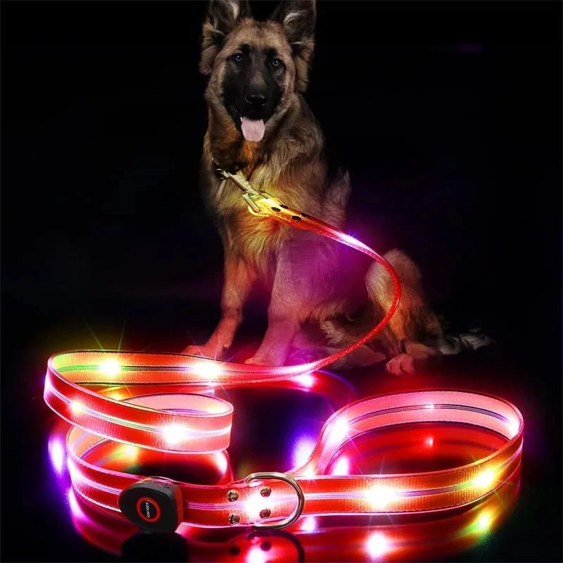 Led Light Up Dog Leash Walking Safety Glow in The Dark USB Rechargeable Adjustable Dog Leash Dog Collar Pet Collar Large Medium Small Pet
