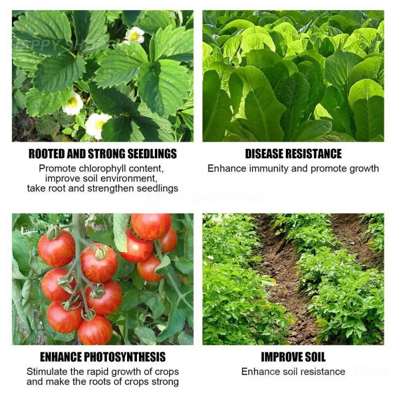 

Lawn Spray 30ml Shorten Flowering Period Improve Yellow Leaves Dust Removal Safe Plant Bright Leaves Nutrient Solution Healthy