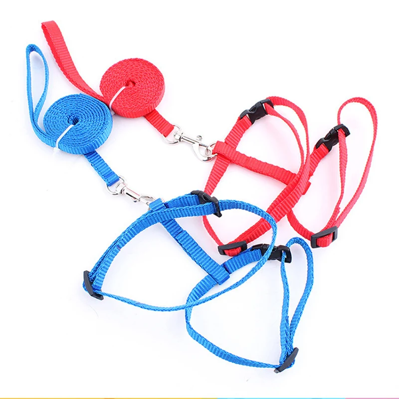 Affordable Sphynx Cat Harness & Leash Set – Lightweight Outdoor Walking Accessories for Cats