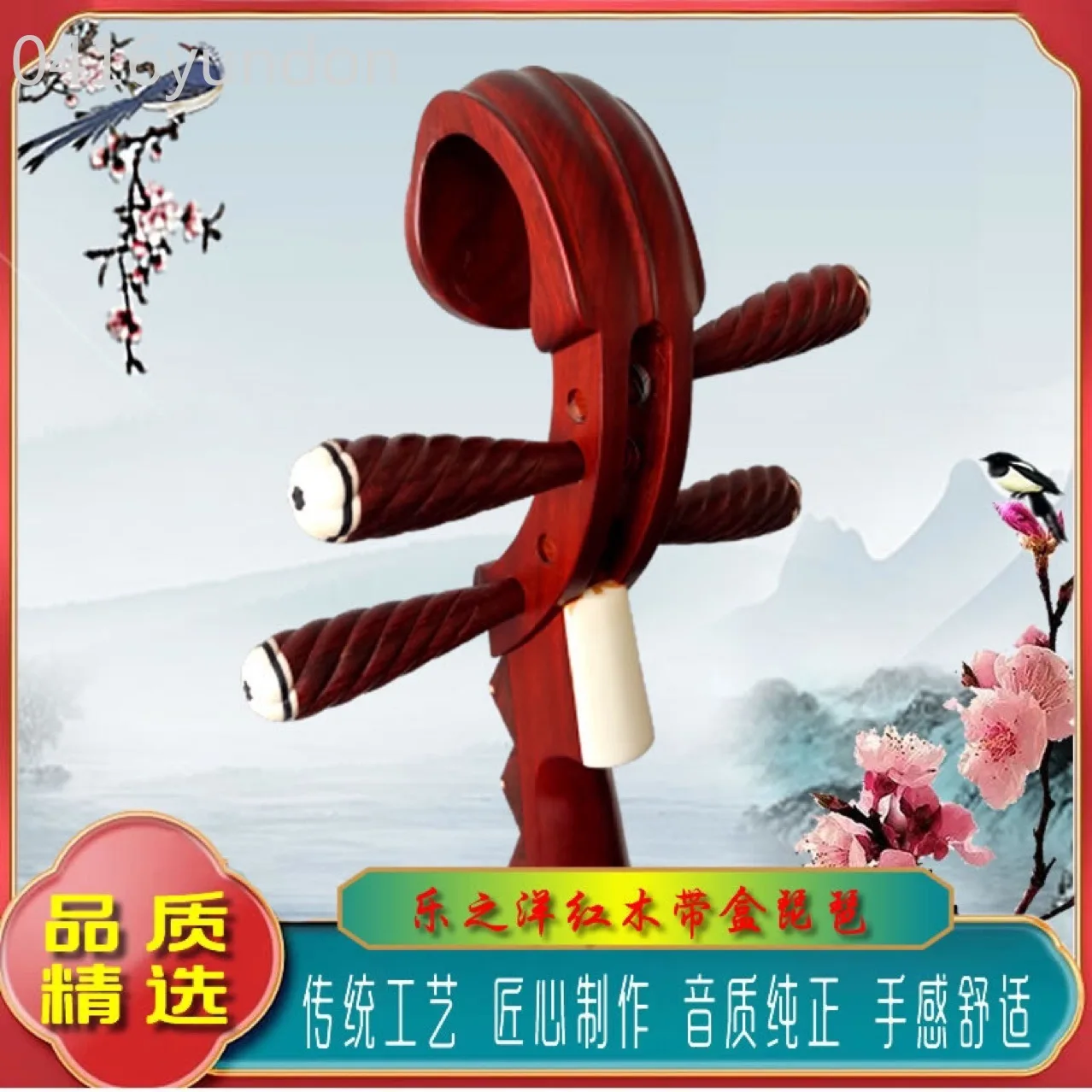 Mahogany Pipa Musical Instrument Adult Pipa Self-study Beginner Entrance Examination Major