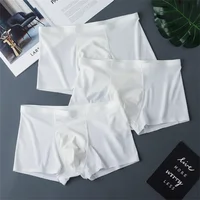 3 pièces de haute qualité hommes sous-vêtements en soie glacée été mince respirant sans couture culottes Sexy hommes caleçons grande taille 2