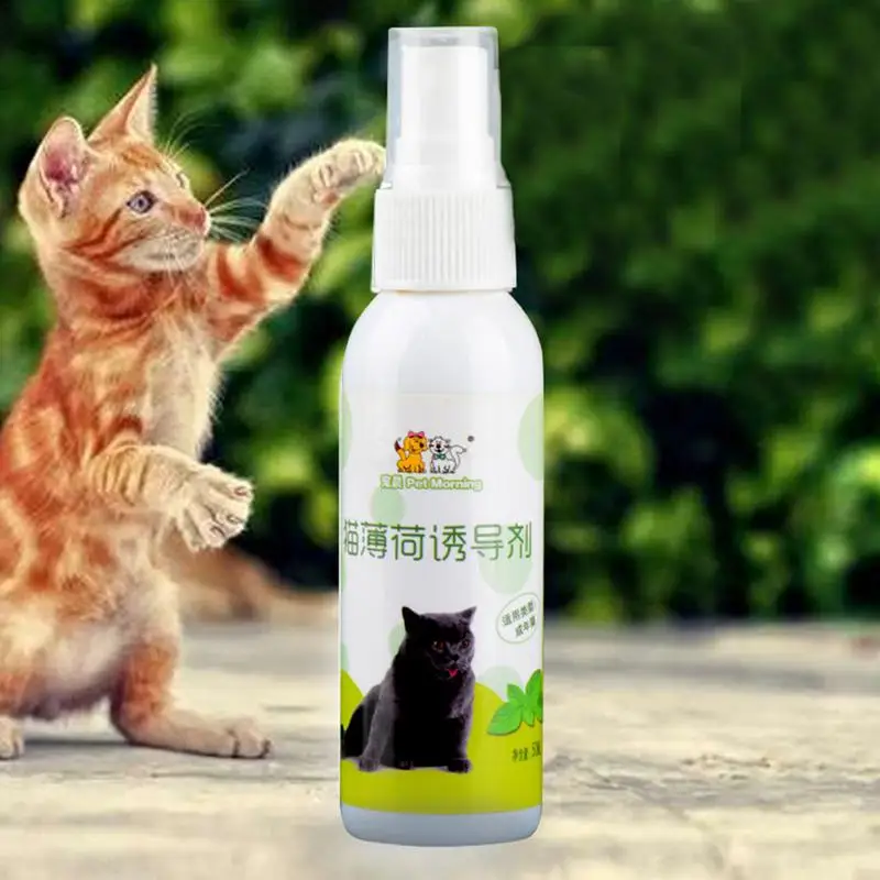 Cat Catnip Spray Healthy Ingredients Catnip Spray For Kittens & Cats