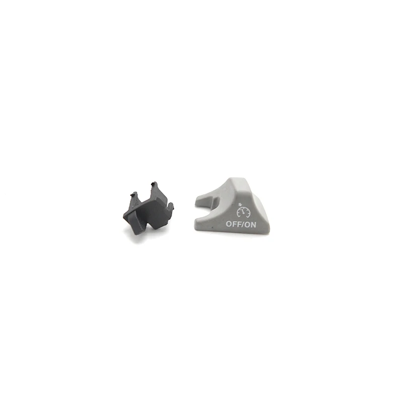 bmw r1200gs electronic cruise control