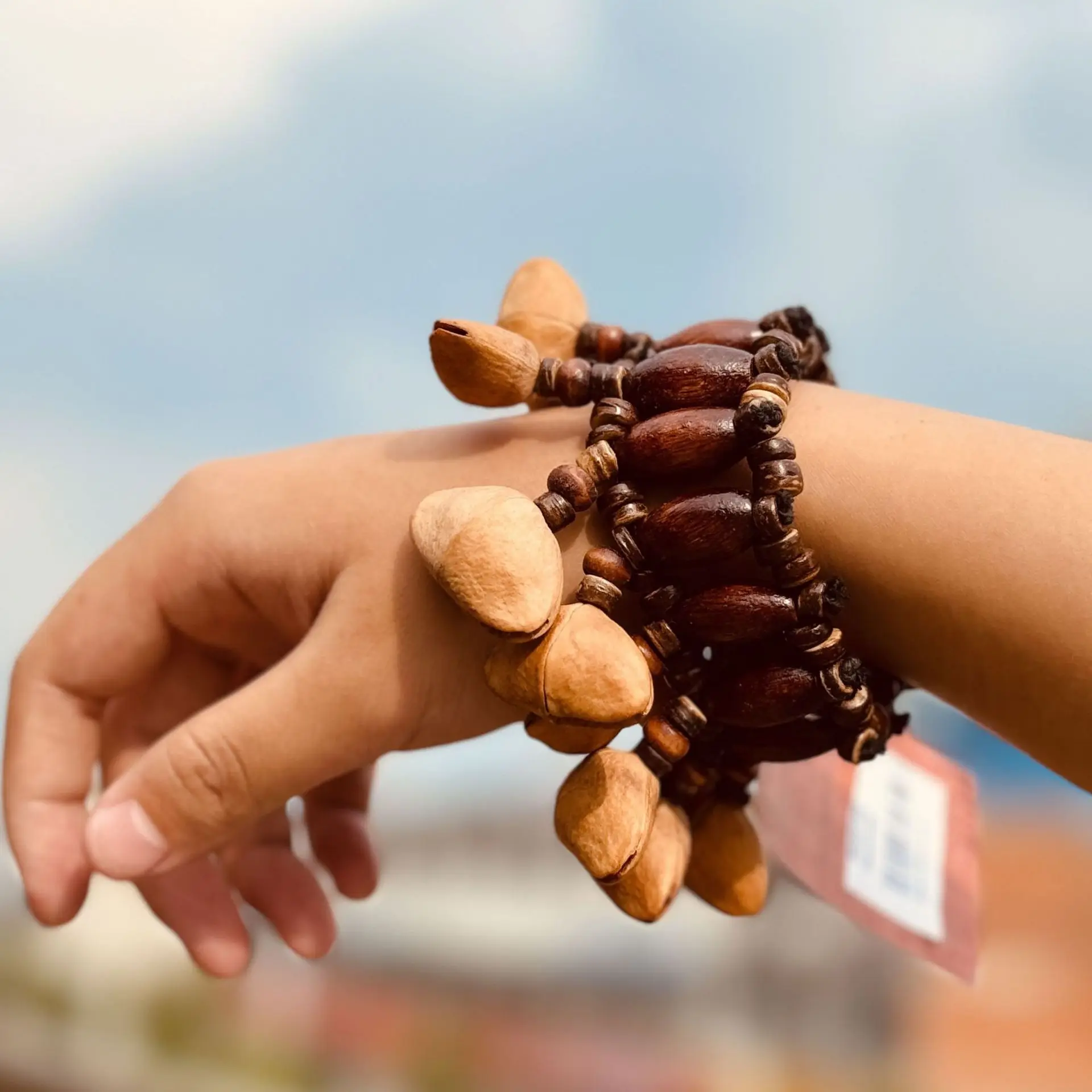 Natural Fruit Shell Bracelet African Drum Rattle Percussion Accompaniment Musical Percussion Instruments Ornaments Hand Bells hand bell