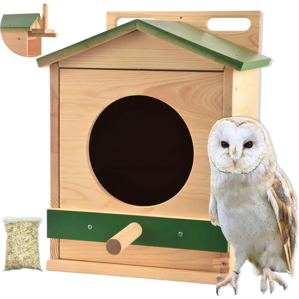Barn Owl Boxes: The Ultimate Guide to Attracting and Protecting These ...