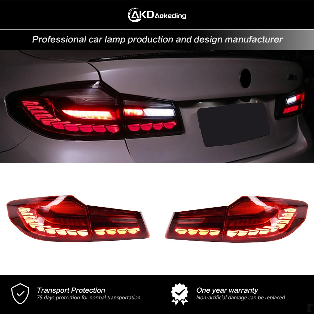 

AKD Tail Lamp for BMW F10 F18 Tail Light 2010-2016 5 Series 525i 530i 520i 535i DRL Assembly Upgrade Auto Accessories 2PCS