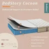 Mattress 12 inch - Pain-Relieving Hybrid for Extra Lumbar & Hip Support - -Isolation Bed in a Box - Fiberglass-Free, Mattresses 2