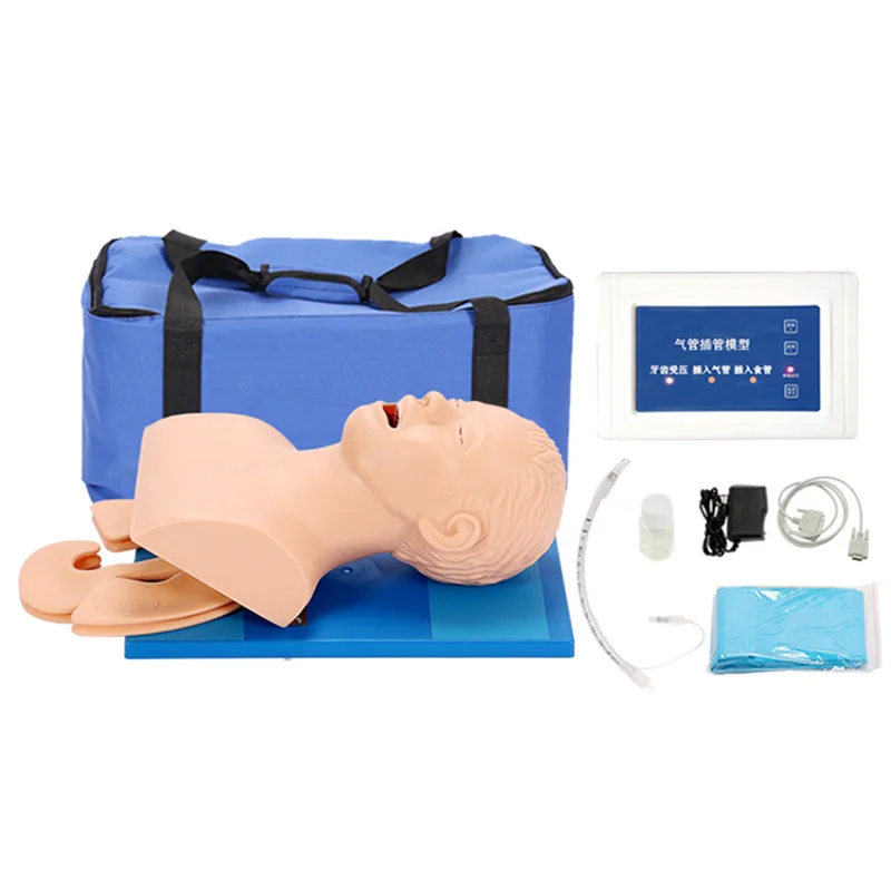 

Human Body Model Intubation Learning Teaching Model Airway Management Training Device PVC Alarm Simulator With Teeth